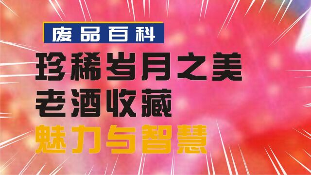 珍稀岁月之美:老酒收藏的魅力与智慧