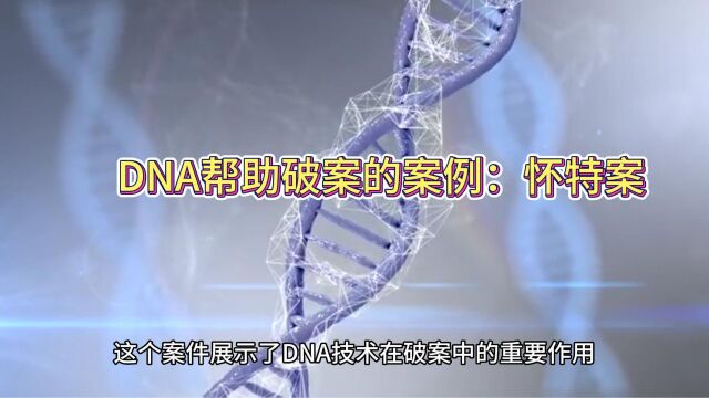 DNA帮助破案的案例:怀特案