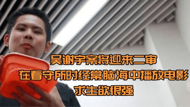 吴谢宇案将迎来二审,在看守所时经常脑海中播放电影,求生欲很强