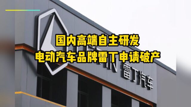 国内高端自主研发电动汽车品牌雷丁申请破产