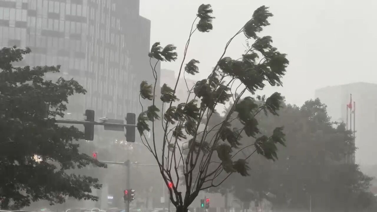 @广州市民 注意躲避!广州10区暴雨和雷雨大风黄色预警生效