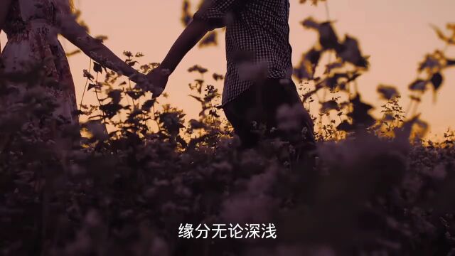 缘分无论深浅