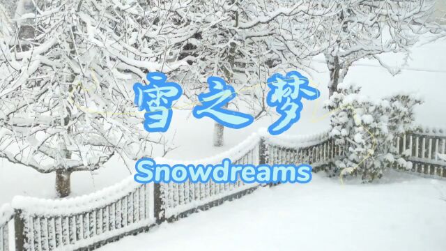 经典钢琴曲《雪之梦》畅享美妙旋律