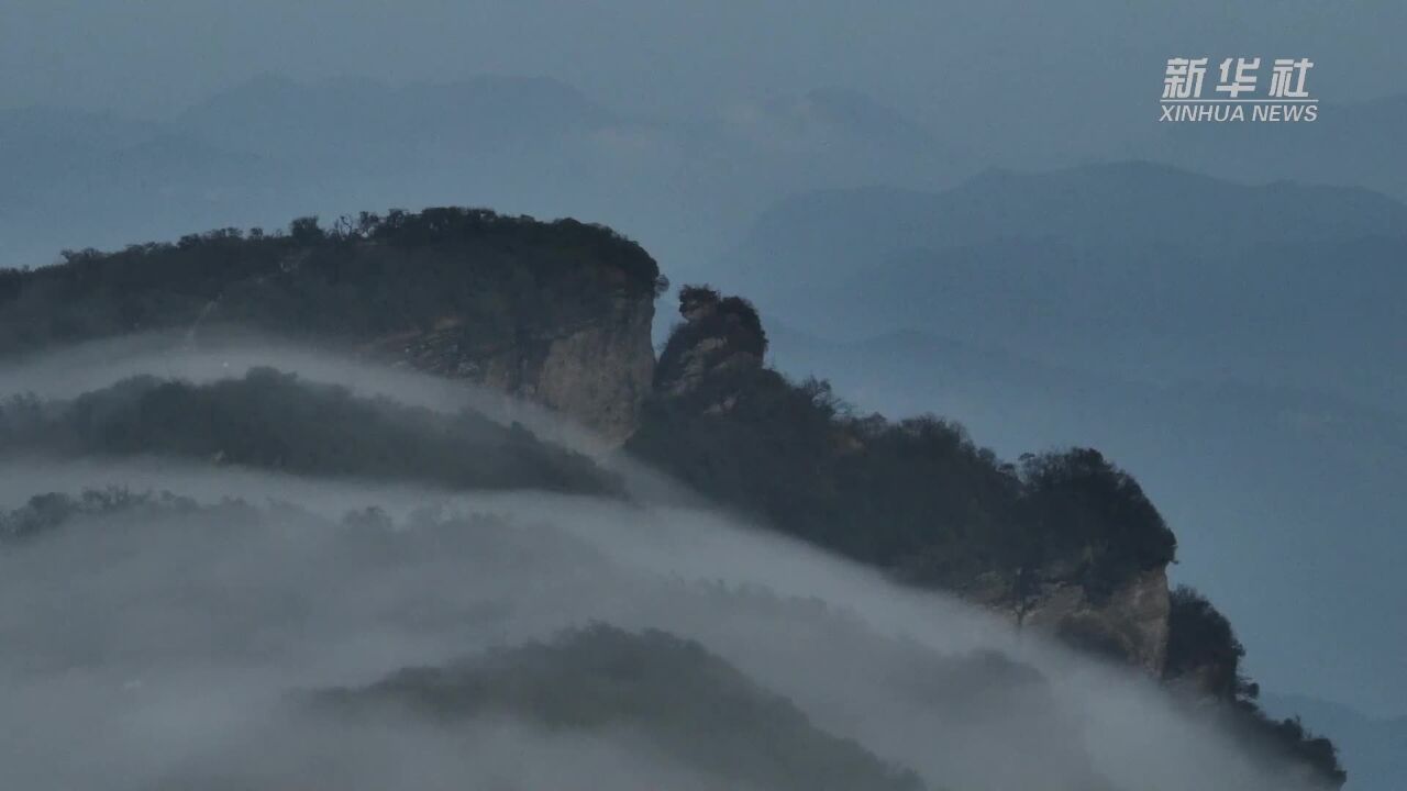 秘境花海!贵州大沙河原始杜鹃林美如画卷