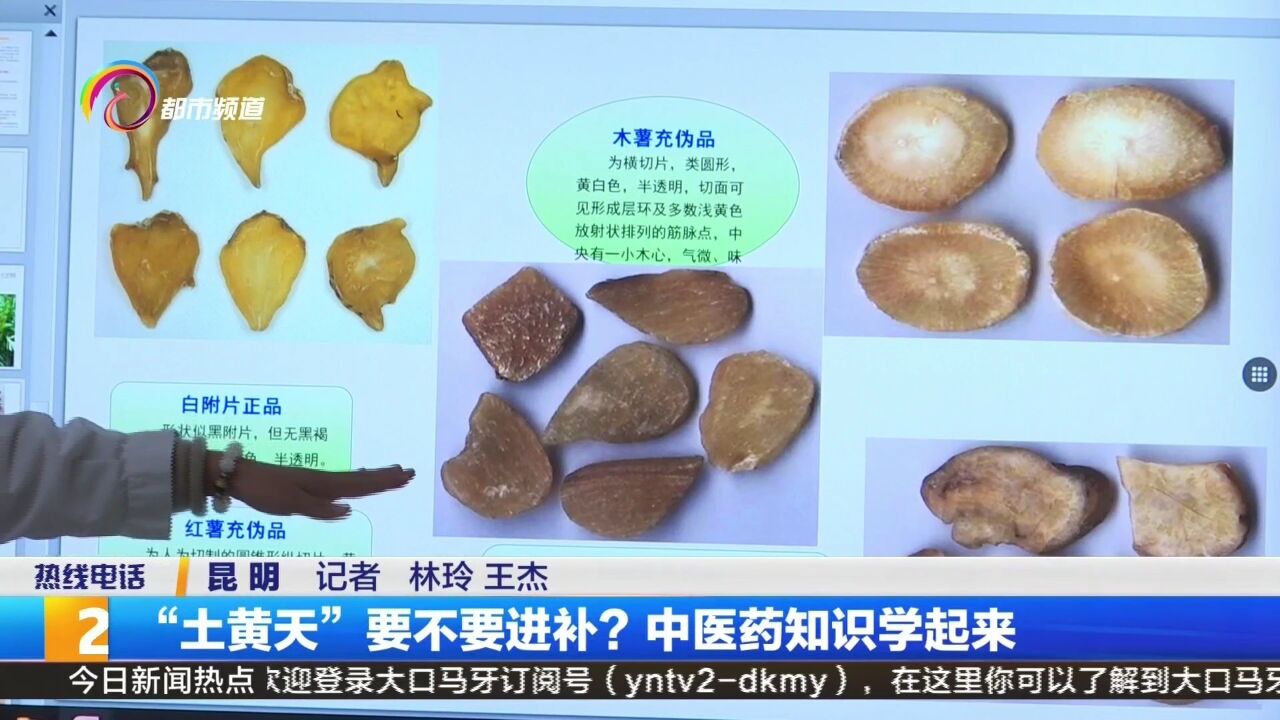 “土黄天”要不要进补?中医药知识学起来