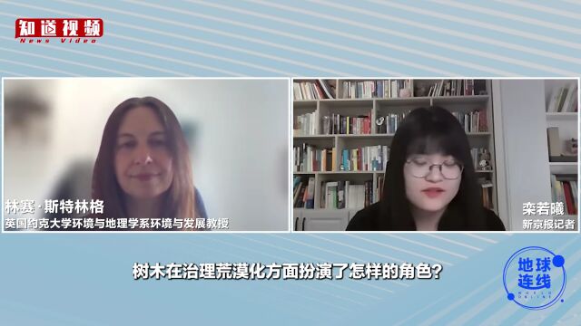 沙尘暴已成全球治理难题?对话英国环境专家