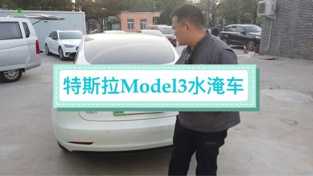 特斯拉 Model 3被水淹了,电池会不会进水