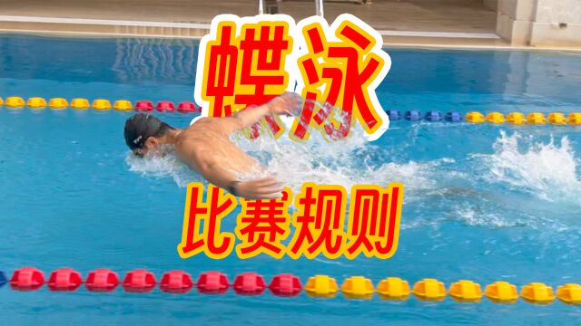 【游泳规则】8蝶泳从何而来?规则细讲(30000)