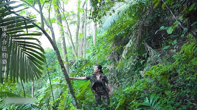 荒野建造女人独自生活在热带雨林