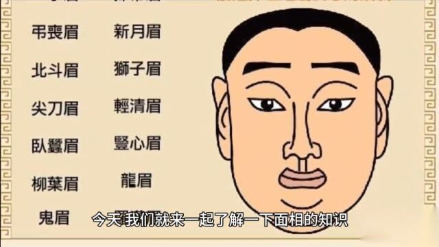 大众面相解析