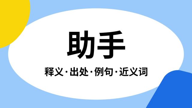 “助手”是什么意思?