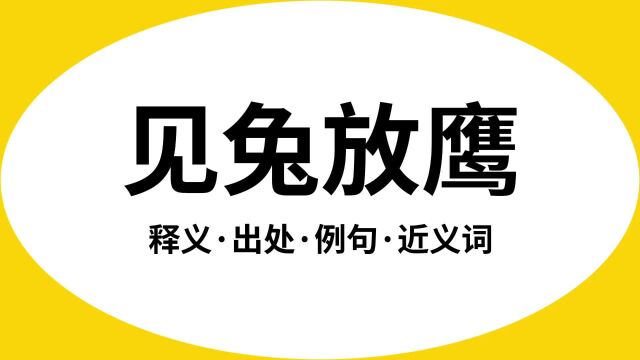 “见兔放鹰”是什么意思?