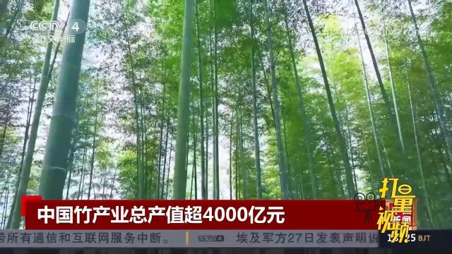 数据显示:中国现有竹林面积1.29亿亩,竹产业总产值超4000亿元