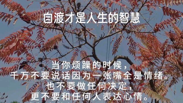 自渡才是人生的智慧