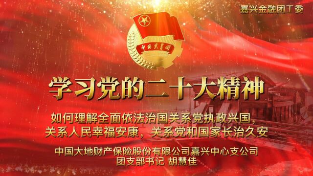 45 大地保险嘉兴中支团支部 胡慧佳 如何理解全面依法治国关系党执政兴国,关系人民幸福安康,关系党和