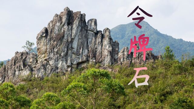 广东也有很多高山峻岭,石头形状怪异,挖公路上瘾又一条通山顶