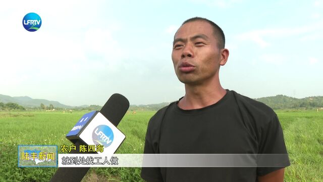 培育“土地管家” 促进农民增收农业增效