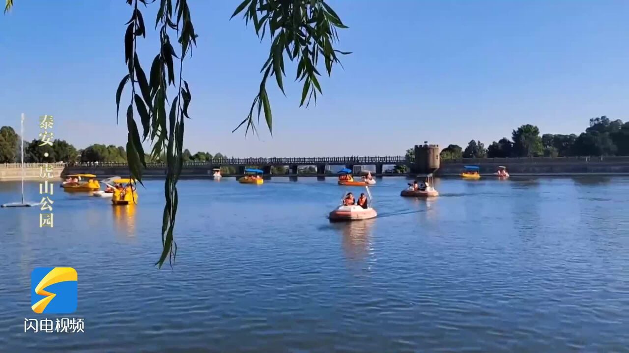 泰山脚下虎山公园:悠悠夏日长 群芳正绚烂