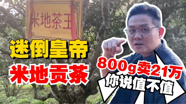 迷倒皇帝的贡茶?800g鲜叶拍卖21万?米地贡茶其实没有这么简单!