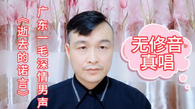 无修音真唱(广东一毛深情男声)《逝去的诺言》