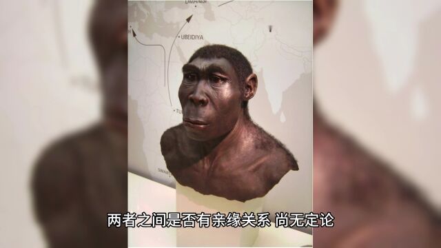 大熊讲中华编年史