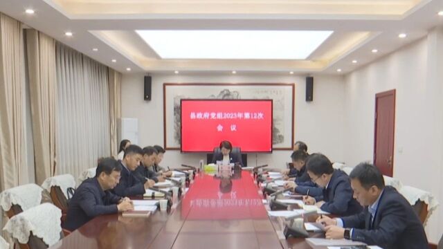 王润主持召开县政府党组2023年第12次会议