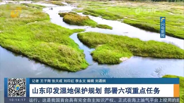 山东印发湿地保护规划20222030年,部署实行六项重点任务