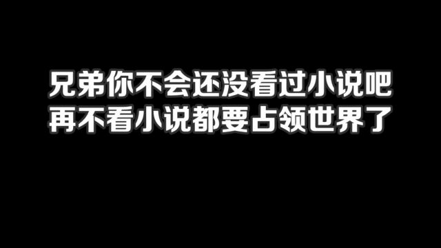 兄弟你不会还没看过小说吧,再不看小说都要占领世界了