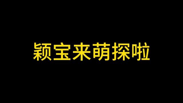 萌探3:赵丽颖化身玉兔公主,可爱呆萌到爆表