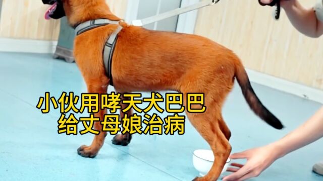 影视:小伙用哮天犬巴巴给丈母娘治病,结果很搞笑