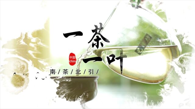 长春人文学院传媒学院2024届联合创作作品《一茶一叶》