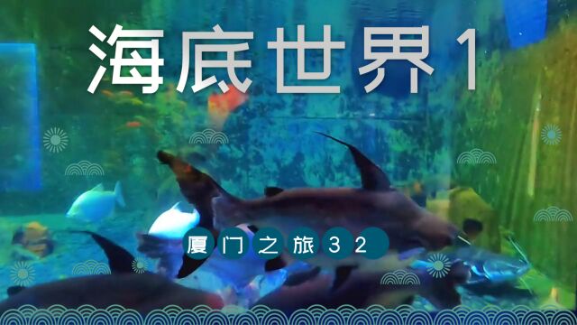 厦门之旅32,鼓浪屿之厦门海底世界,生平第一次到海底世界 感受跟小孩子一样新奇# 厦门 # 厦门旅行vlog # 鼓浪屿