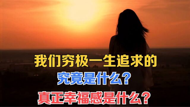 我们穷极一生追求的,究竟是什么?真正幸福感是什么?