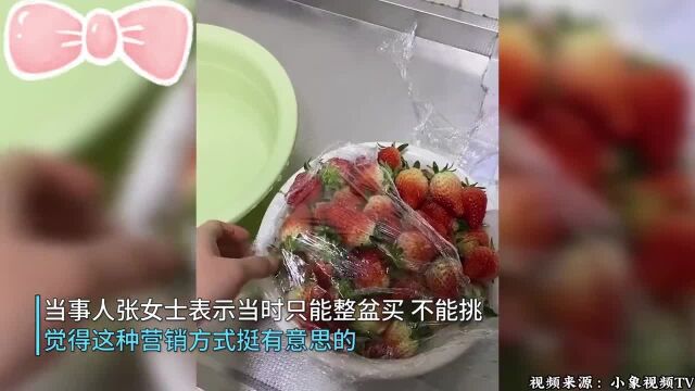 女子买一盆草莓回家发现盆底还有个筐,女子:没想到这种营销方式