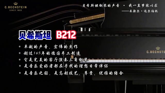 海知音琴行:德国贝希斯坦B212钢琴介绍