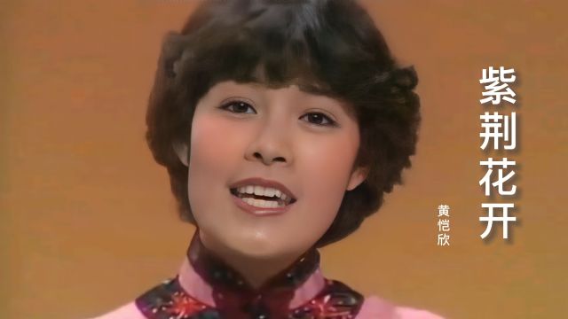 黄恺欣《紫荆花开》太好听了,歌声感人好听,经典粤曲,韵味十足