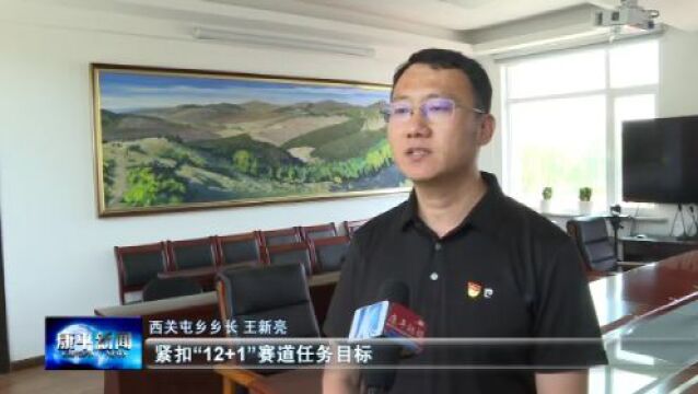 鏖战二季度 冲刺“双过半”⑪ | 西关屯乡:以项目建设“小突破”书写乡村振兴“大篇章”