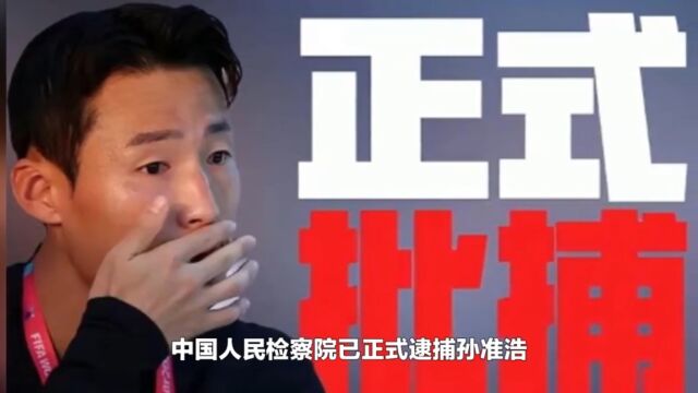 并非蔡振华!李铁案收网,终极“大鱼”曝光,数额高达30个亿