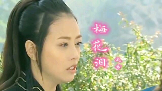 《梅花泪》文希:经典伤感歌曲!欣赏!