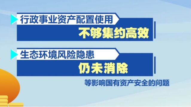 审计全覆盖,国有资产管理审计是重点内容