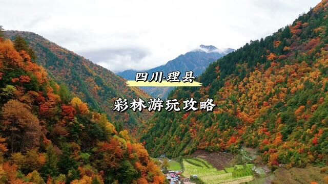 川西理县的秋天是一场视觉盛宴,2天1夜的赏红叶、泡温泉、住寨子游玩攻略来啦.#米亚罗红了理县美了 #秋季川西美景