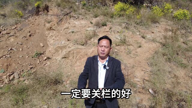 实地山地案例 弘扬国学传统文化