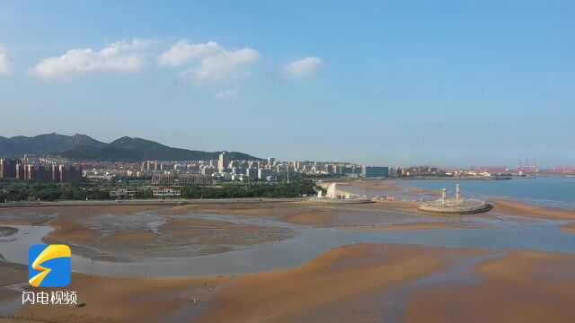 赶海“挖呀挖”好去处!日照岚山一处海景区退潮会露出3公里海滩