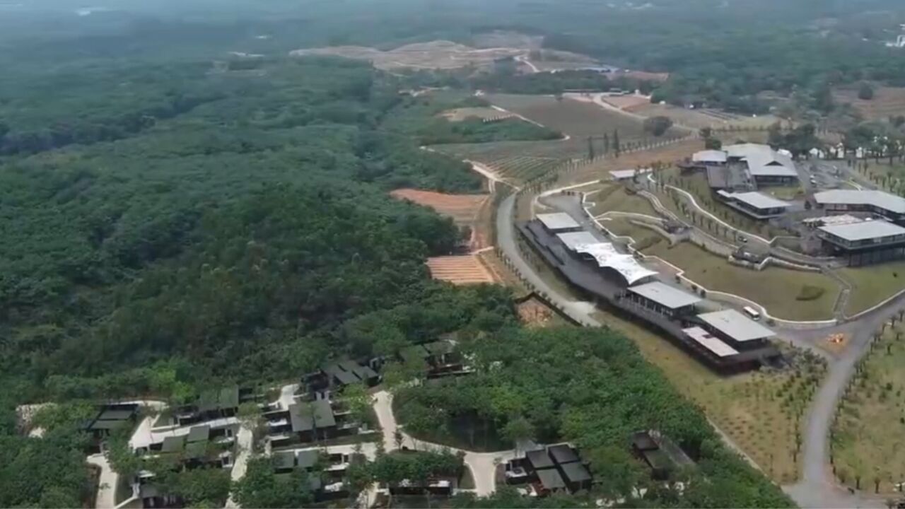 水果越卖越好,客户也想来农业基地参观,让她顺势做起了旅游行业