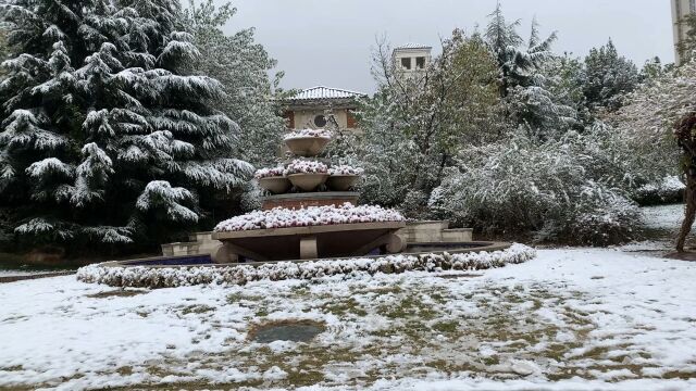 山东多地迎来今年的第一场雪