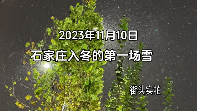 2023年11月10日石家庄迎来了入冬以来的第一场降雪