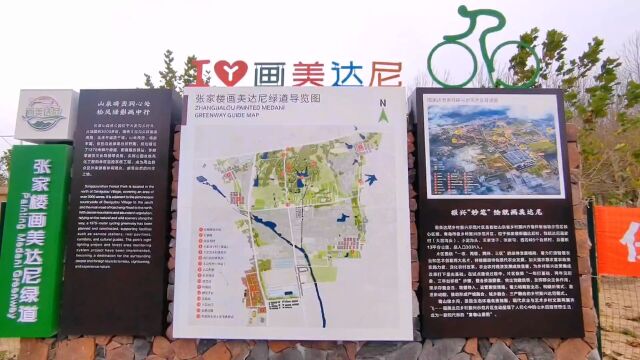 青岛西海岸.张家楼千亩枫树林游玩攻略