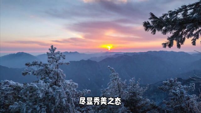 雪后初晴的长安城,灯火阑珊下的温馨与热闹