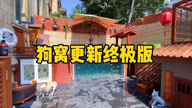 狗窝更新385天,给你们最后的机会再说说这个狗窝还缺啥?