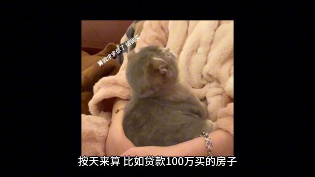 房贷断供的后果你可能根本承担不了